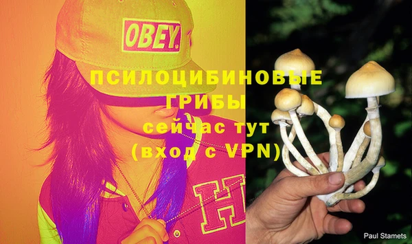 МДМА Бородино