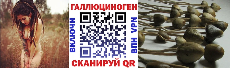 mega   Ульяновск  Галлюциногенные грибы ЛСД 